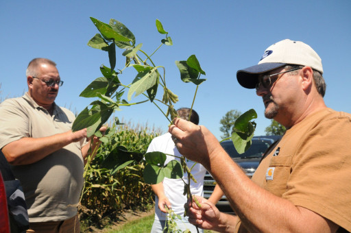 Crop Scouts Assess Magnitude of Drought and Overall Corn and Soybean Yields in Seven Midwest States