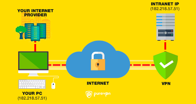 purevpn vs private internet access