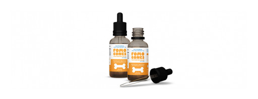 FOMO Bones Named 'Best CBD for Dog Anxiety' by Great Pet Care