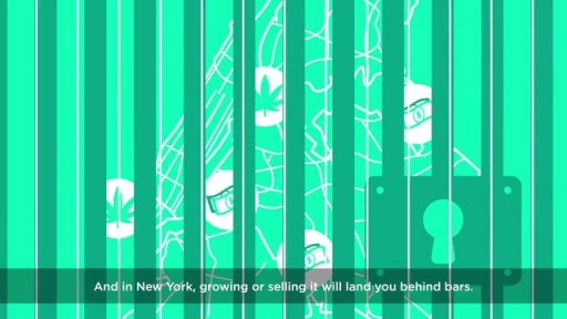 Mike Tolkin on legalizing marijuana in NYC