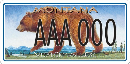Saving Grizzly Bears, One License Plate at a Time