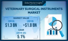 Veterinary Surgical Instruments Market Forecasts 2019-2025 
