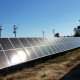 SolRiver Capital Completes Biodiversity-Focused, 14 MW Solar Project in South Carolina