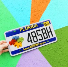 Support Autism Services Florida License Plate