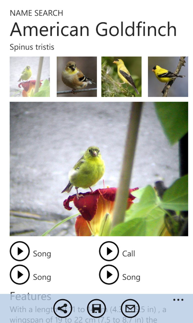 twigle-a-unique-birding-app-that-identifies-birds-by-their-songs-is