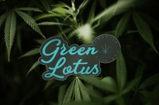 Green Lotus Hemp