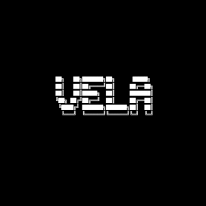 Vela Partners
