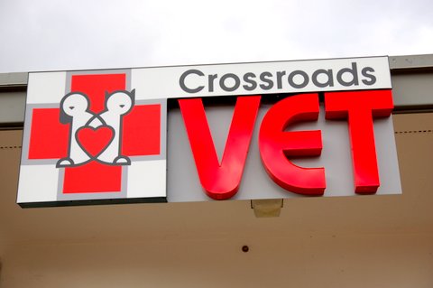 bellevue veterinary clinic