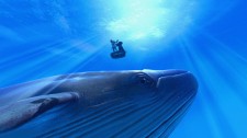 TheBlu: Deep Rescue