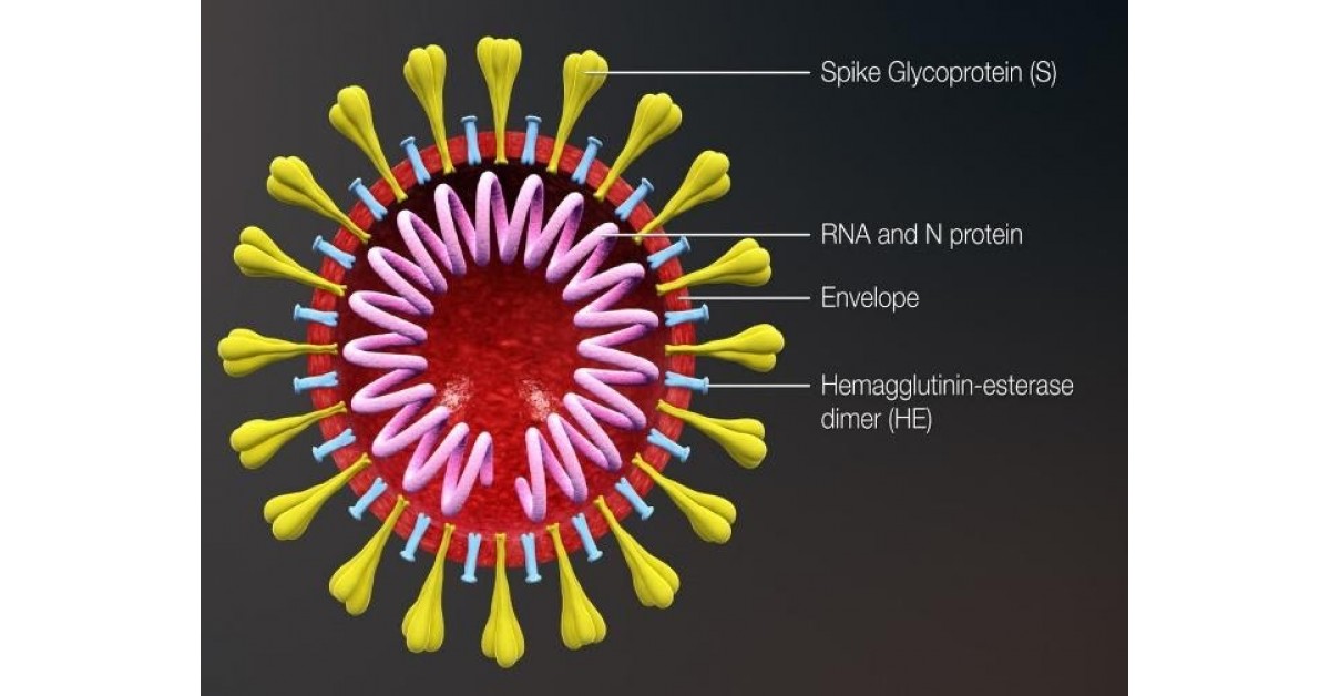 Aalto Bio Reagents Launches New Recombinant Eukaryotic SARS-CoV-2, S1 ...