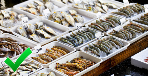 Ensuring Food Safety and Fighting False Facts Amid Fukushima Water Discharge