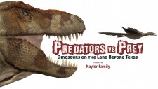 Predators vs Prey