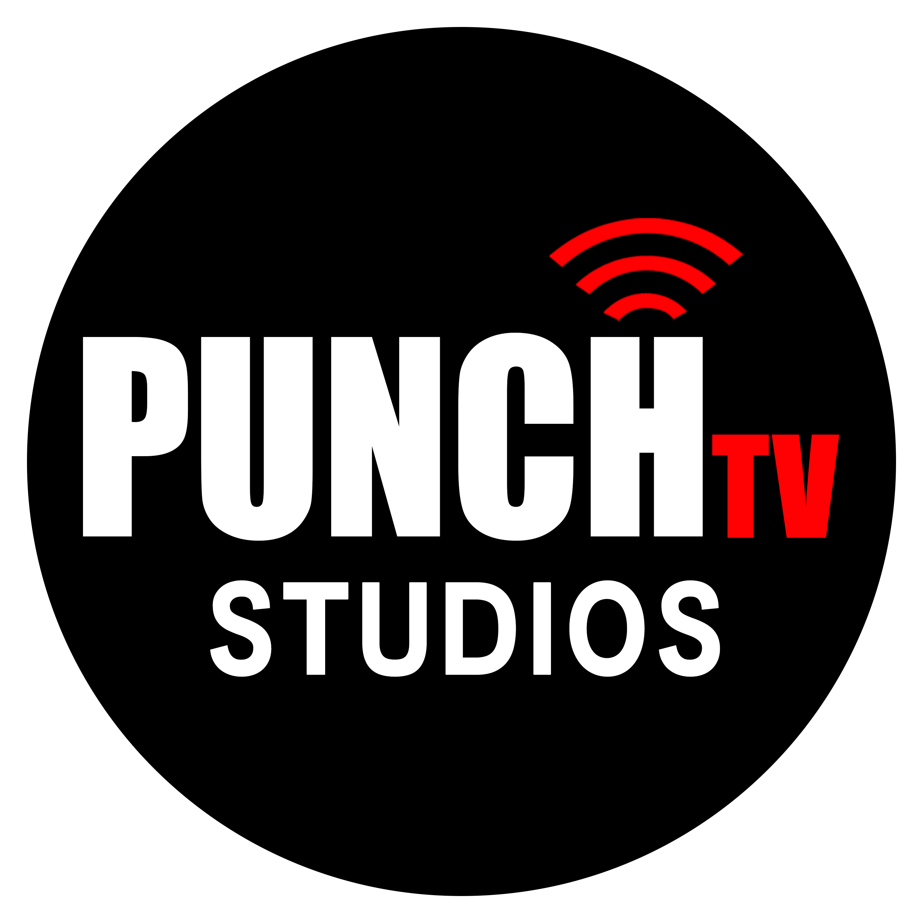 Punch tv ipo prospectus