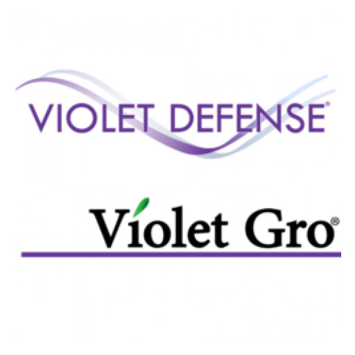 Violet Defense Group Completes New Series B Funding for International Growth and Business Line Expansion