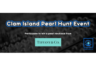 The Clam Island Pearl Hunt Event