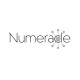 Sarah Delphey Joins Numeracle as Vice President of Trust Solutions