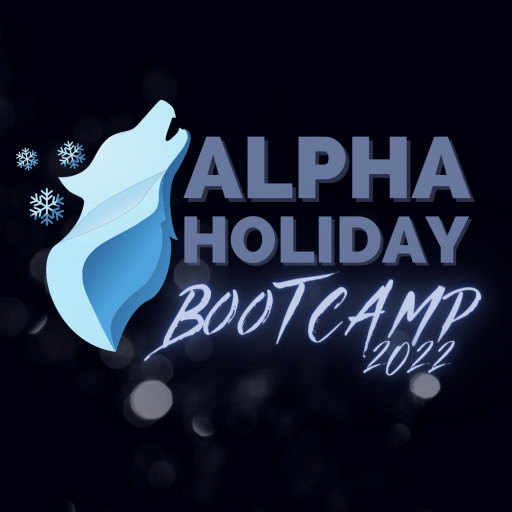 Alpha Holiday Bootcamp Prepares Crafters for Successful Season