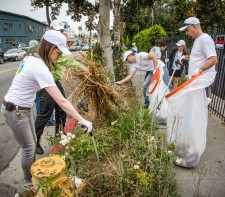 Hollywood Village cleanup