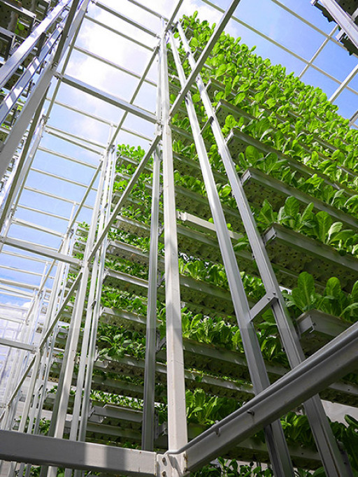 Vertical Farming Company Sky Urban Secures $50 Million USD Investment Commitment From GEM as Company Seeks to Go Public