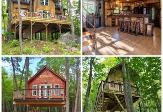 Three Incredible Live-In Treehouses