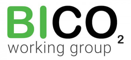 BICO Working Group