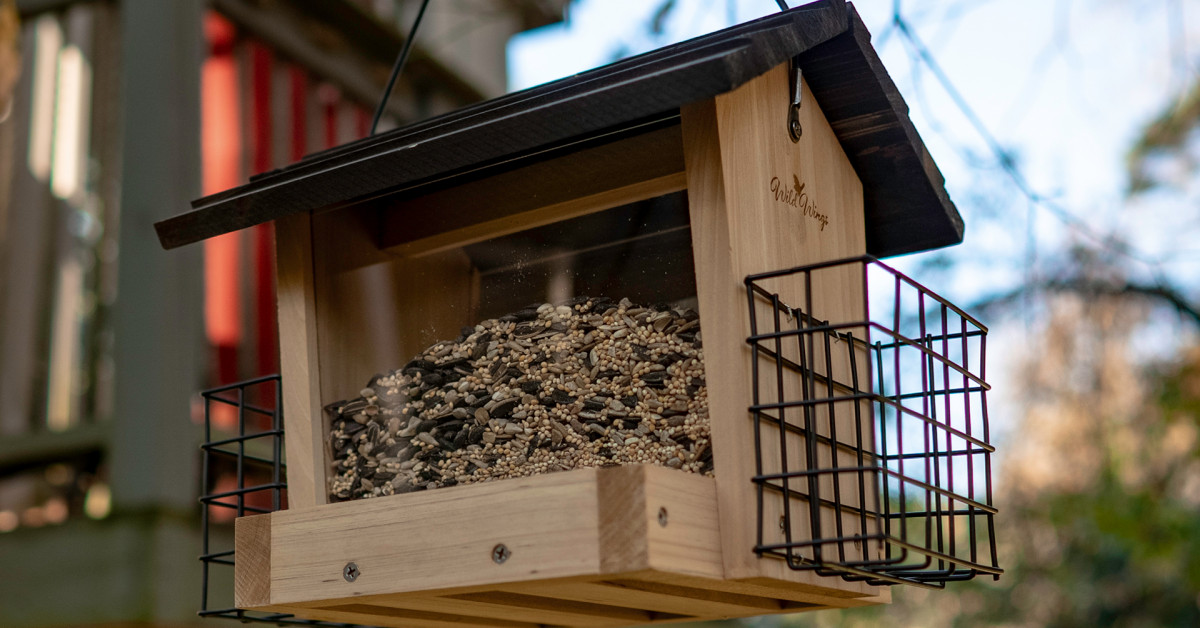 Invite Birds to the Yard With This DIY Bird Feeder From Exmark