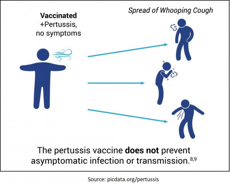 The Pertussis Vaccine Does Not Prevent Asymptomatic Infection or Transmission
