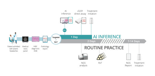 Imagene's AI-Based Molecular Profiling Revolutionizes Lung Cancer Diagnostics: Two Patients Receive Immediate Targeted Therapy, Avert Brain Radiation