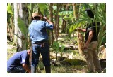 Thrive Natural Care partner with Costa Rican Farmers to bring its vision to life