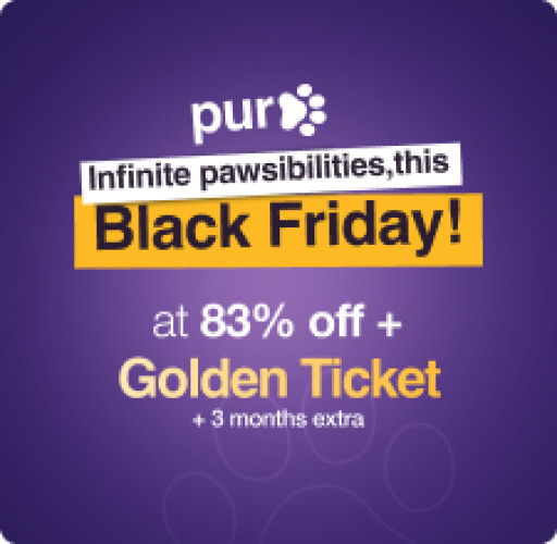 PureVPN's 83% Off This Holiday Season: Get an Extra Subscription for Free With a Golden Ticket