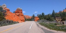 One of the stunning sections you'll ride in full 4k through the Dixie National Forest