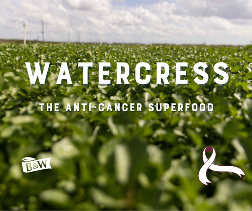 B&W Quality Growers Spotlights Watercress, an Anti-Cancer Superfood