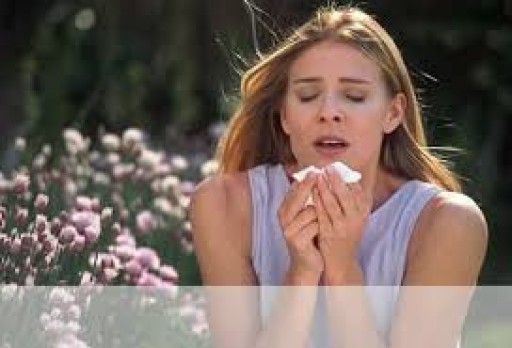 Environmental and Food Allergy Testing Enables Physicians to Offer In-Office Quality Care While Increasing Practice Revenue