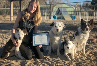 2017 National Dog Trainer of the Year Sara Carson
