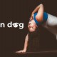 Down Dog Offers Free Access to Its Yoga and Fitness Apps Until April 1, 2020