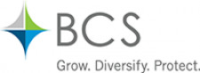 BCS Financial