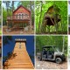 Last Chance to Own Entire Treehouse Resort Through Photo Competition