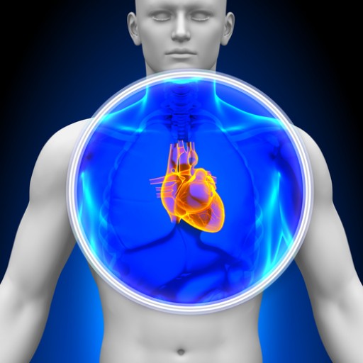 The Medical Manufacturing Industry Is Changing Due to 4k HD Medical Cameras and Medical Video Printing Technology by Medical Imaging Supply Store Ampronix