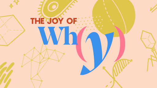 Quanta Magazine's New Podcast, 'The Joy of Why,' Ponders the Big Questions