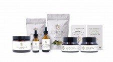 All Moringa products