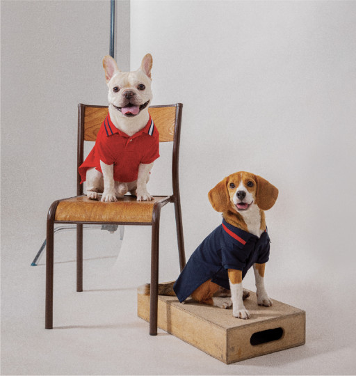 Tommy Hilfiger and Kanine Partner Together for the First Ever Tommy Hilfiger Dog Collection