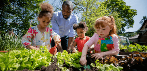 University of Cincinnati Announces First Online Early Childhood Education Degree With a Nature-Based Early Learning Concentration