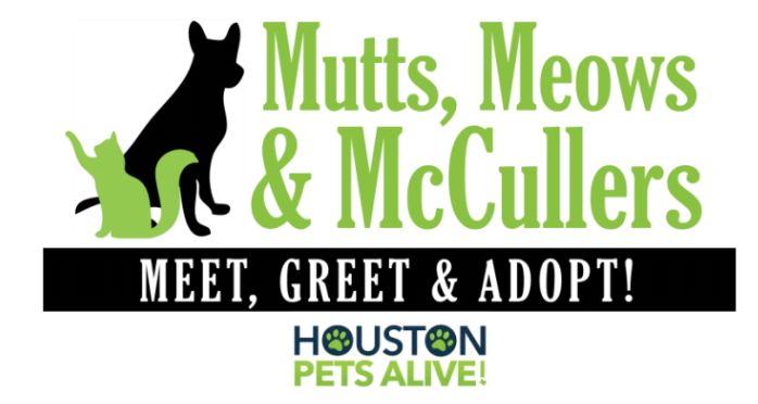 Mutts, Meows & McCullers: Houson Astros Pitcher Lance McCullers, JR. and  Houston Pets Alive! to Host a Benefit for Houston Pets