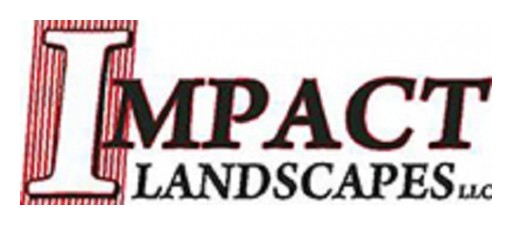 Keep a Beautiful Garden With Professional Tree Service in South Jersey