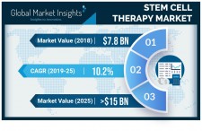 Stem Cell Therapy Market Forecasts 2025