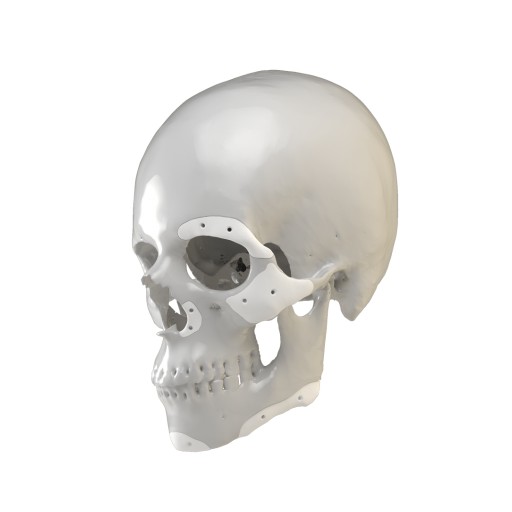 OSSDSIGN Facial