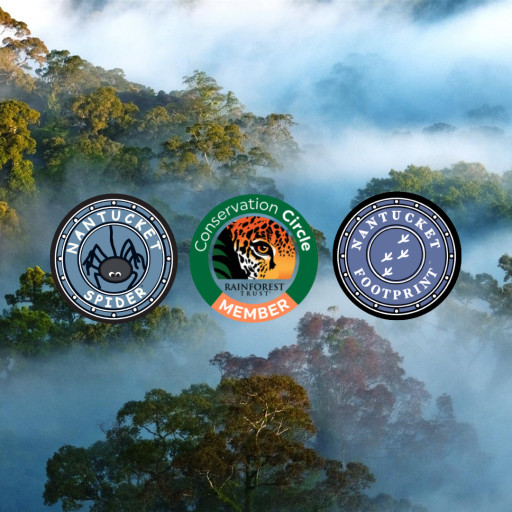 Nantucket Spider Partners With Rainforest Trust to Help Protect Rainforests