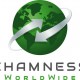 Chamness Relocation Solutions is Now Covering the Globe as Chamness WorldWide