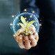 Successful 2022 Milestones Support Value of Gb Sciences' AI-Enabled Drug Discovery Platform