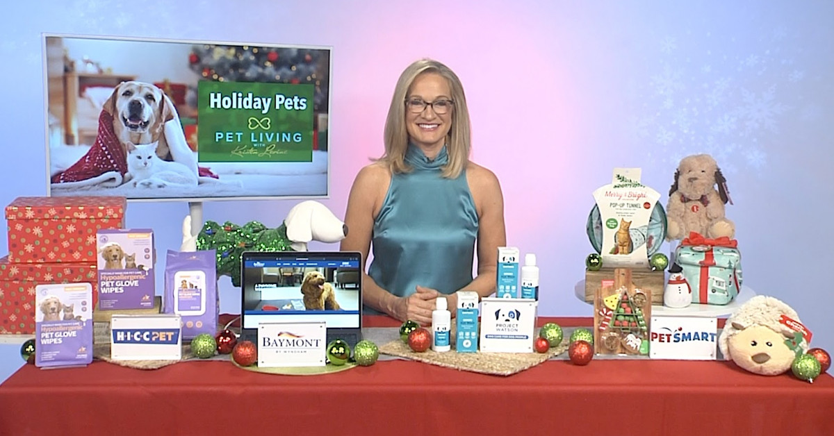 Kristen Levine Shares Tips for Keeping Pets Happy This Holiday Season on TipsOnTV